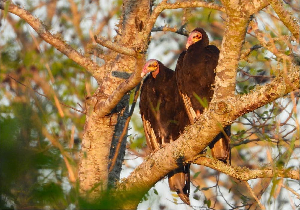 foto de la fachada del lodge