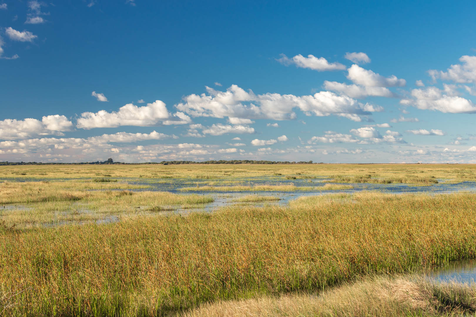 Imagen del muelle de loreto